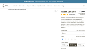 Adult Bunk Beds - Queen Loft Bed for Adults