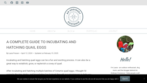 An Ordinary Existence - Coturnix Quail Eggs