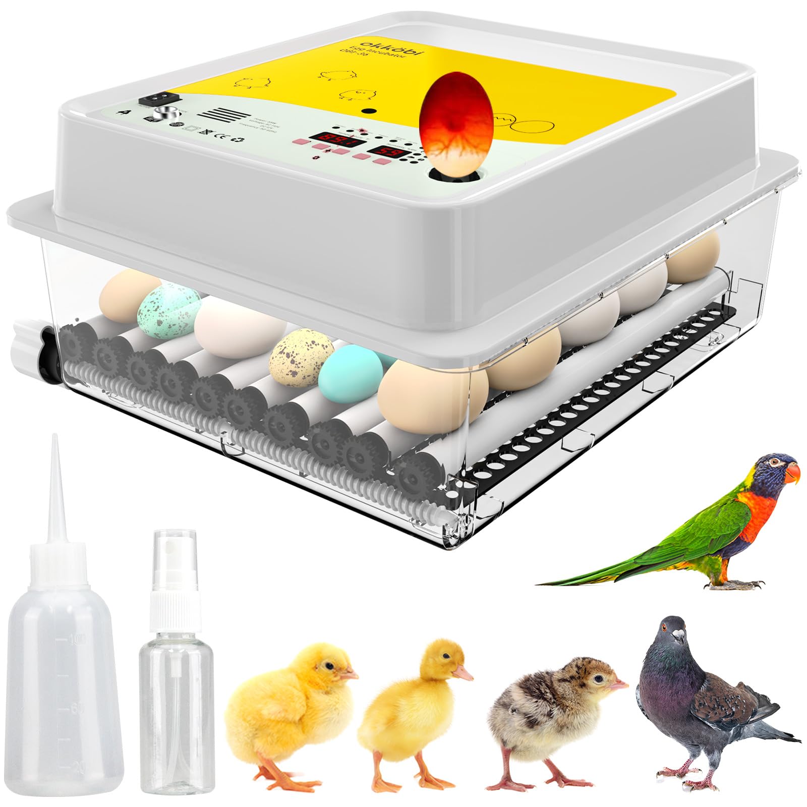 A relevant stock photo of avicole 3230 in a typical setting.