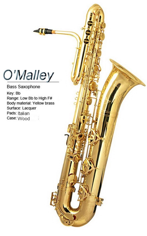 A relevant stock photo of bass saxophone in a typical setting.