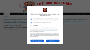 Kingsford - BBQ Lighters