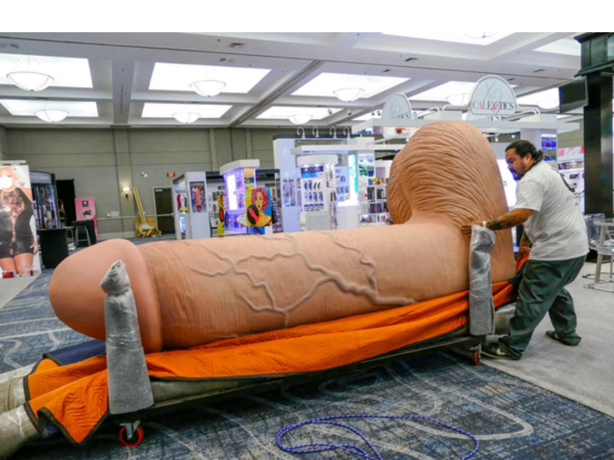 A relevant stock photo of biggest dildo in a typical setting.