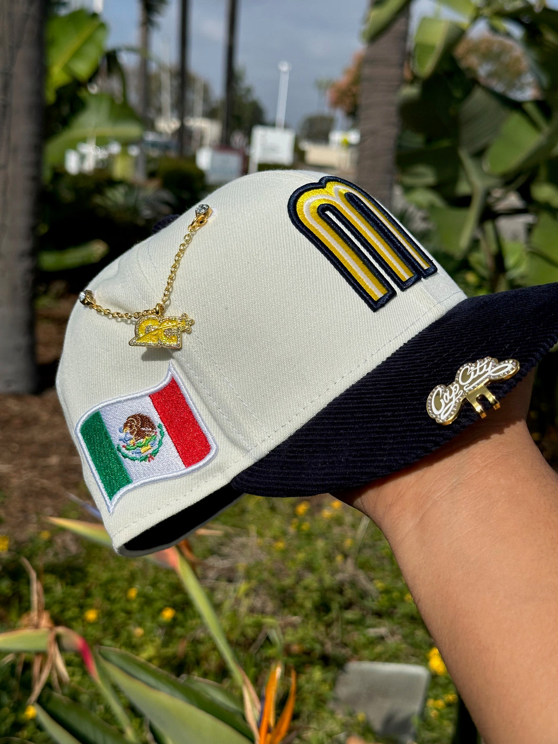 A relevant stock photo of cap city mexico in a typical setting.