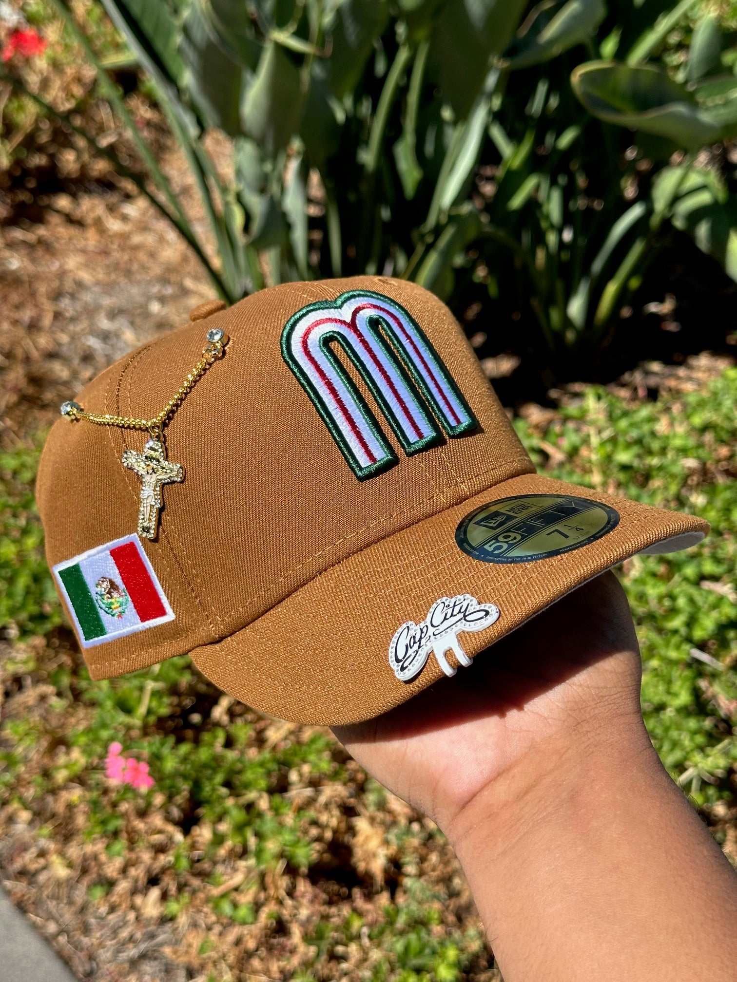 A relevant stock photo of cap city mexico in a typical setting.