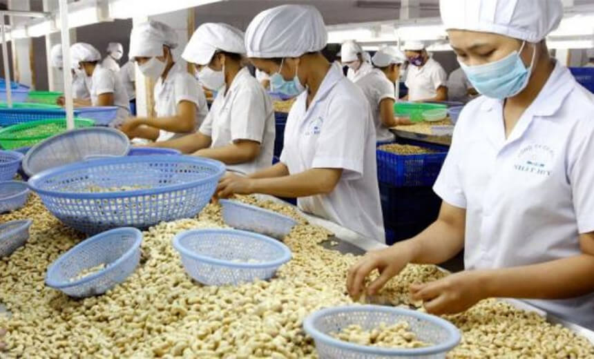 A relevant stock photo of cashew nut sellers in a typical setting.
