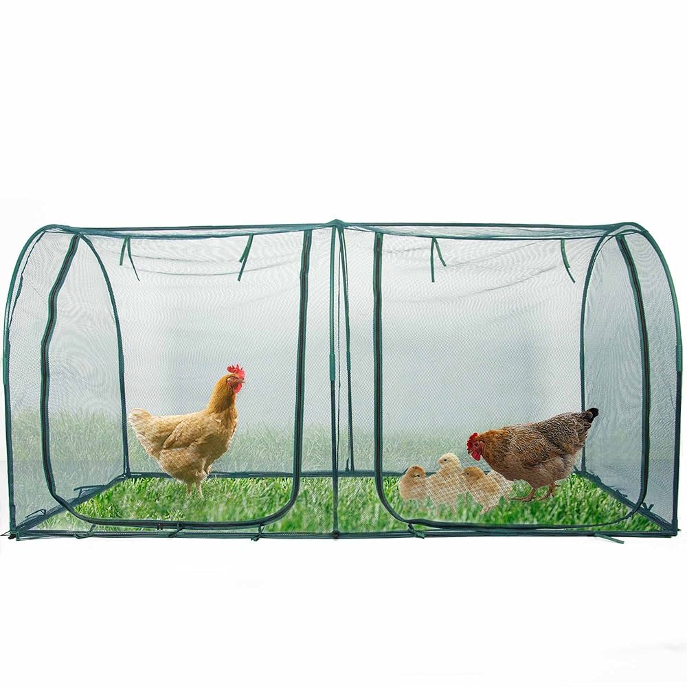 A relevant stock photo of chicken cage portable in a typical setting.