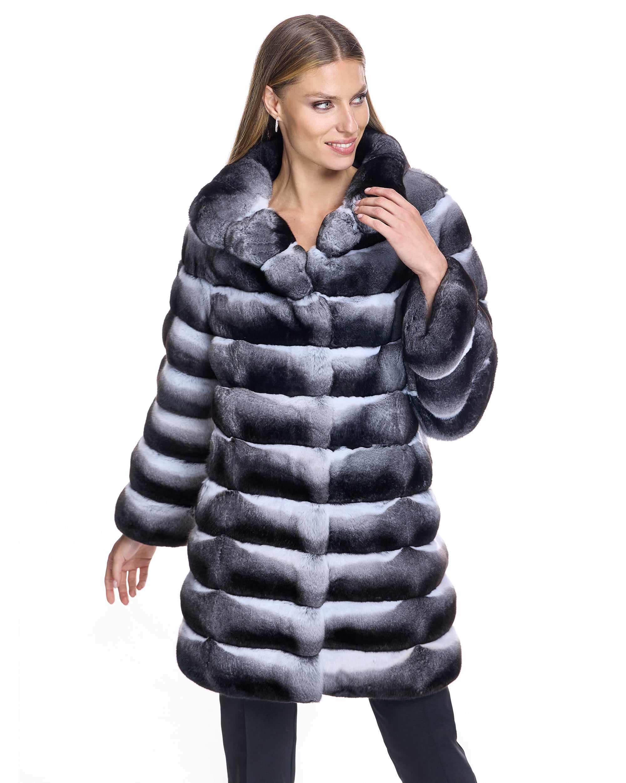 A relevant stock photo of chinchilla coat in a typical setting.