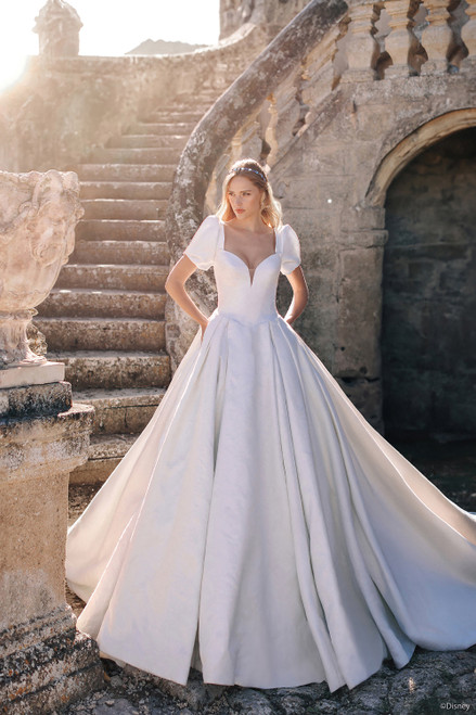 A relevant stock photo of cinderella wedding dress in a typical setting.