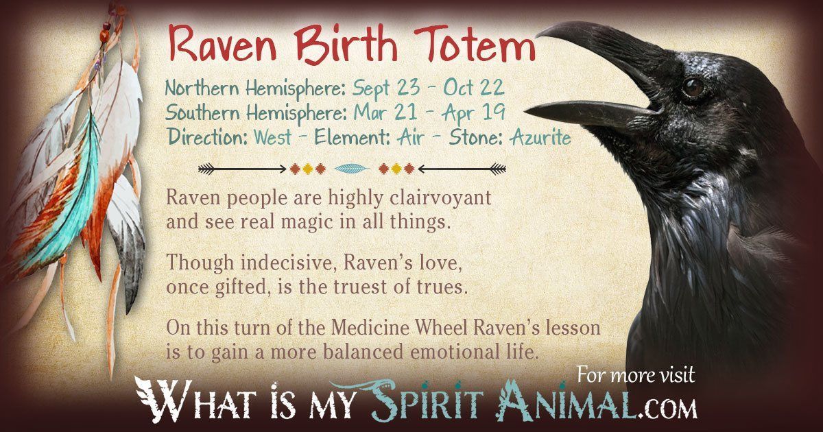 A relevant stock photo of crow spiritual meaning in a typical setting.