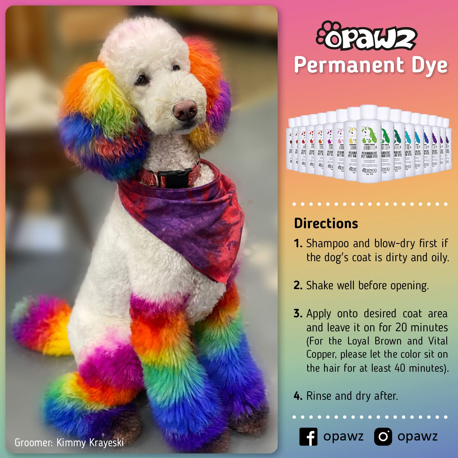 A relevant stock photo of dog hair colour dye in a typical setting.