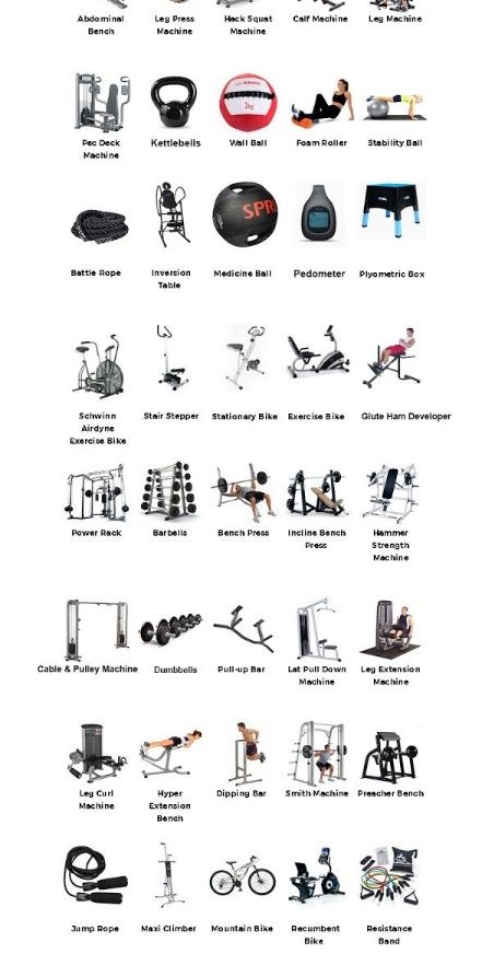 A relevant stock photo of gym equipment names in a typical setting.