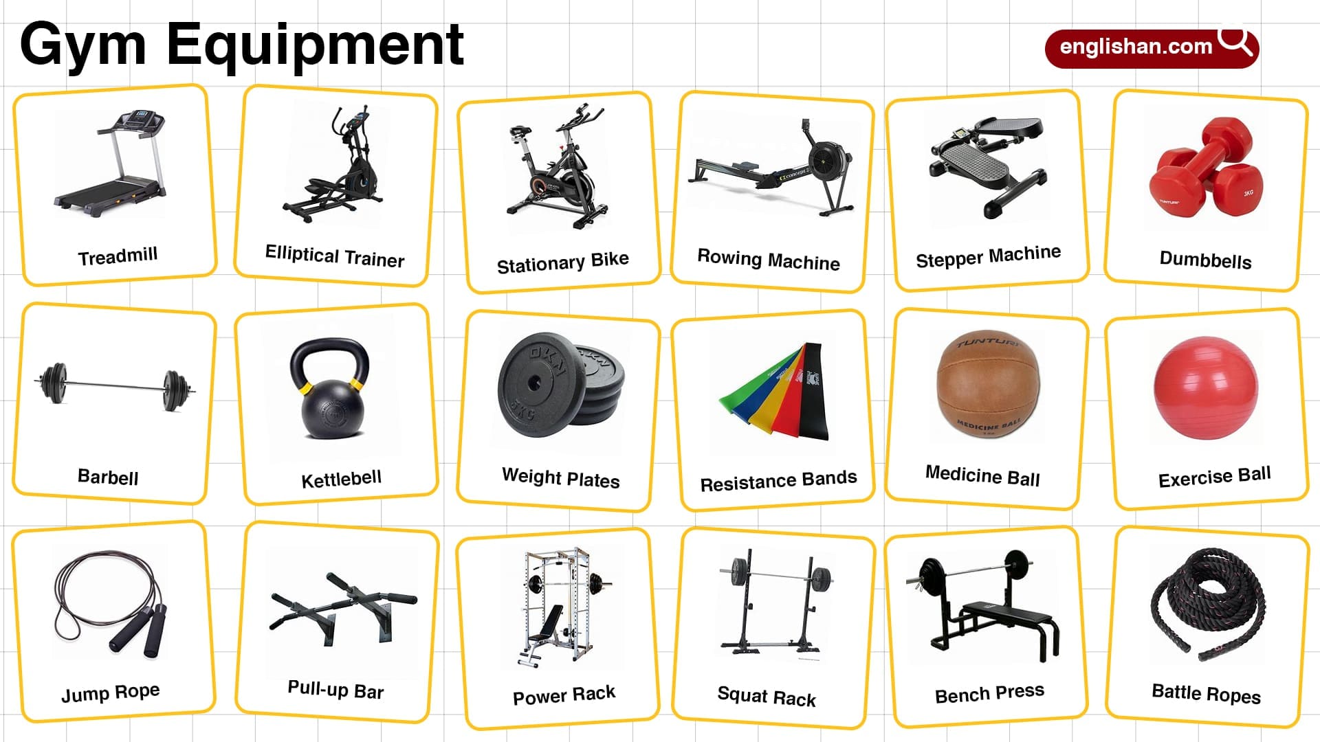 A relevant stock photo of gym equipment names in a typical setting.