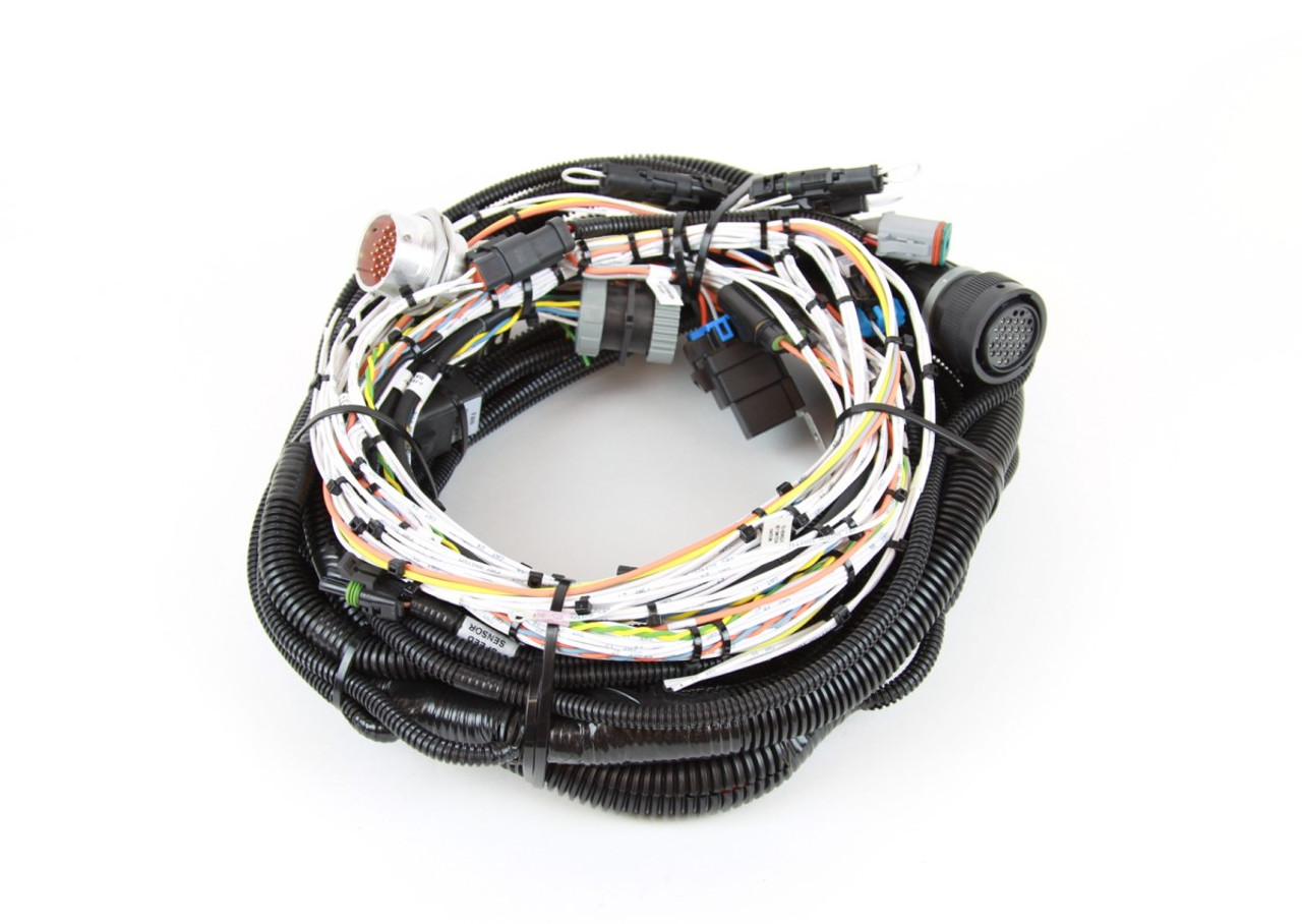 A relevant stock photo of harness caterpillar in a typical setting.