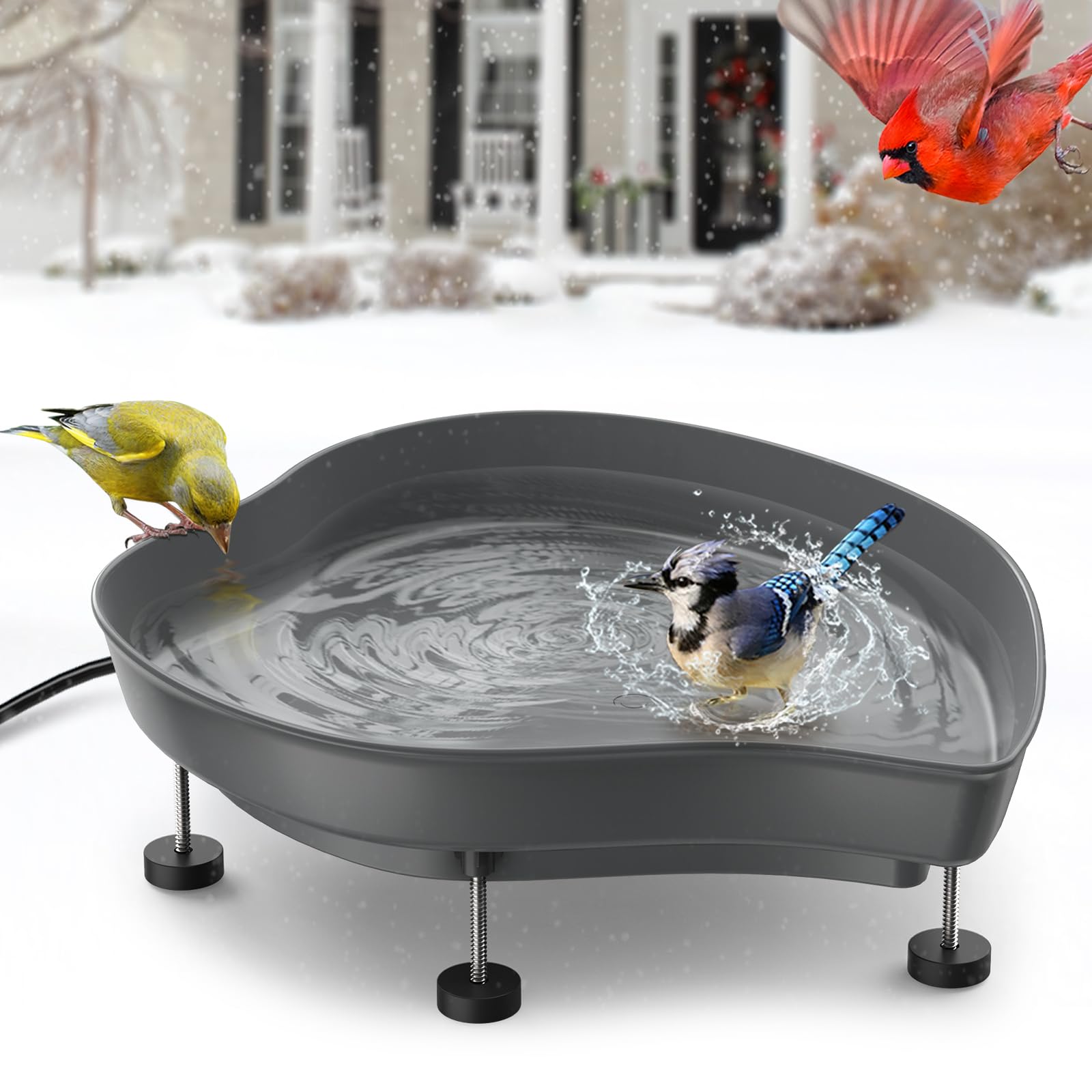 A relevant stock photo of heated bird bath in a typical setting.