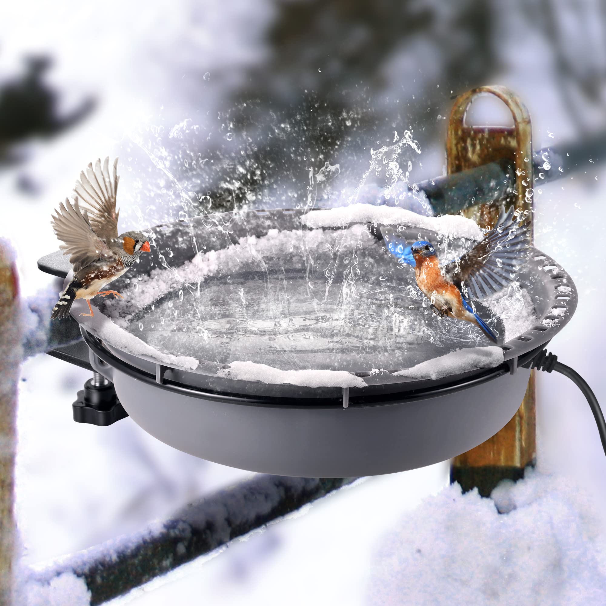 A relevant stock photo of heated bird bath in a typical setting.