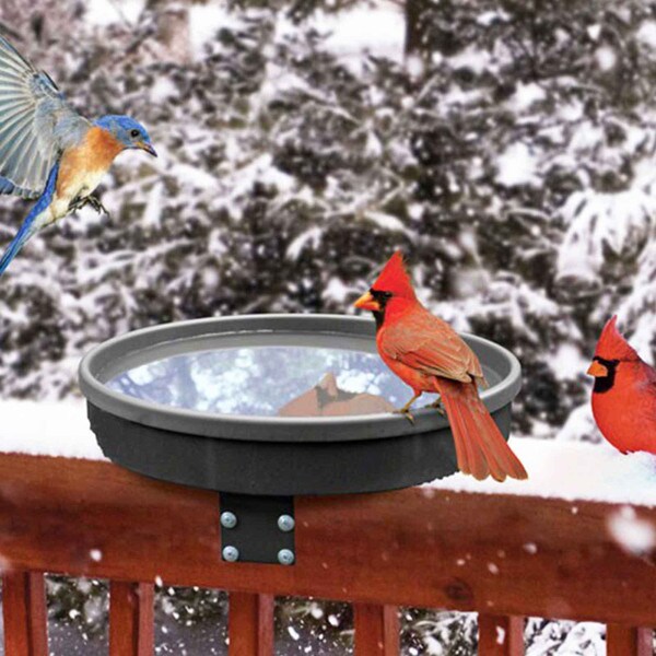 A relevant stock photo of heated bird bath in a typical setting.
