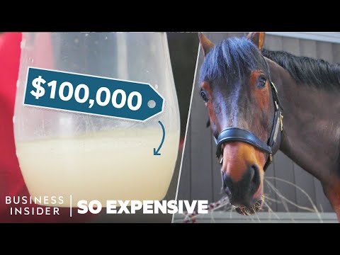 A relevant stock photo of horse cum in a typical setting.