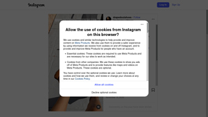 ScrapingDog - Instagram Scraping Services