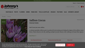 Johnny's Selected Seeds - Saffron Crocus Corm