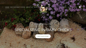 Just Wingin' It Hatchery - Day Old Baby Chicks & Game Birds