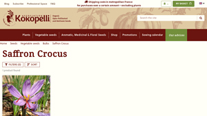Kokopelli Semences - Organic Saffron Bulbs