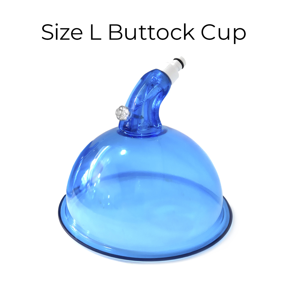 A relevant stock photo of l cup in a typical setting.