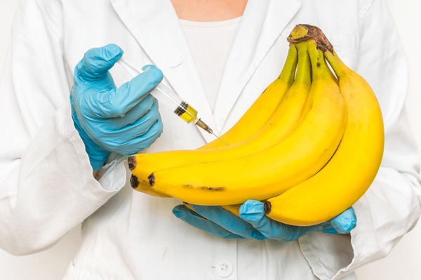 A relevant stock photo of lab-banana.com business in a typical setting.