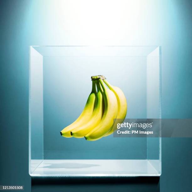 A relevant stock photo of lab-banana.com business in a typical setting.