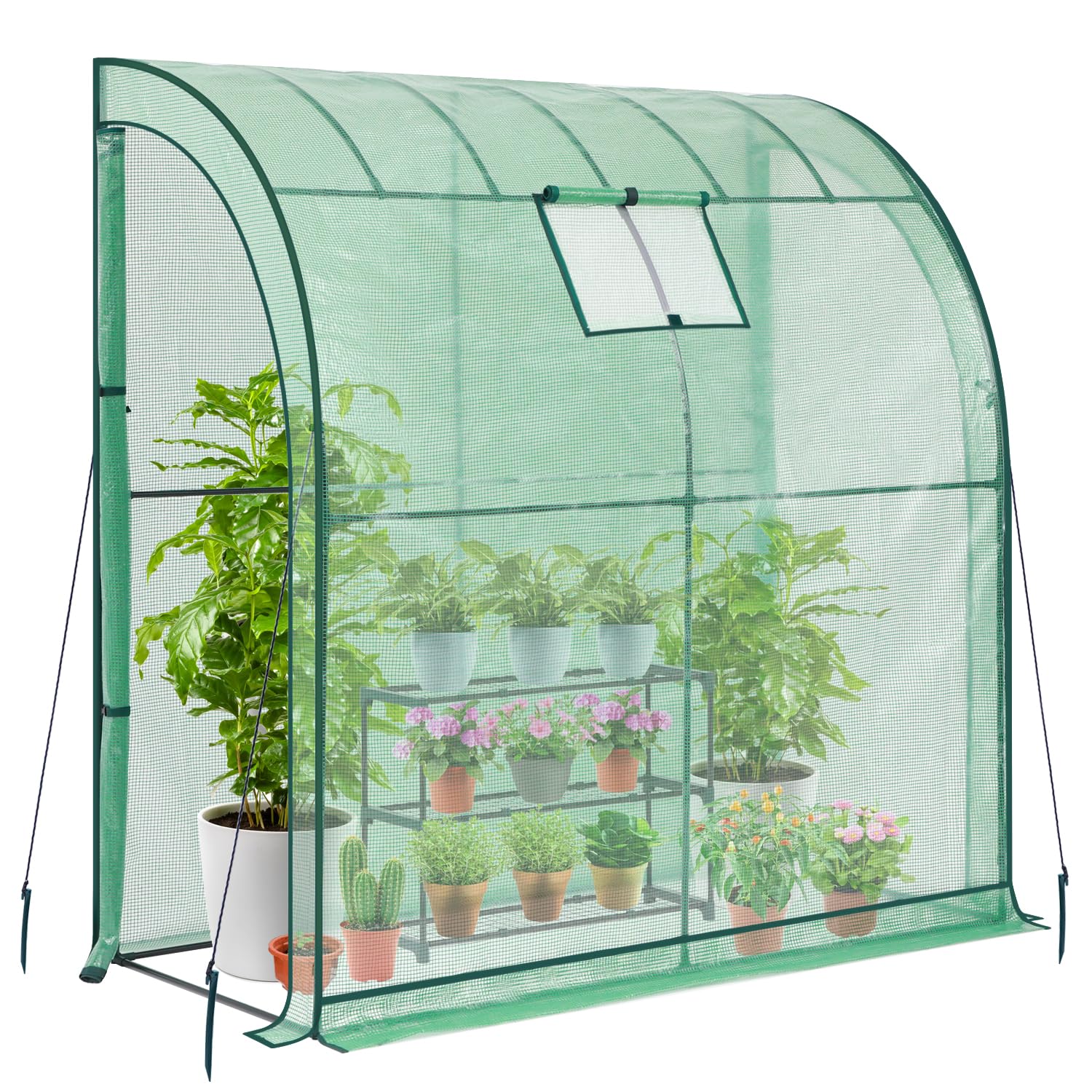 A relevant stock photo of lean to greenhouse in a typical setting.
