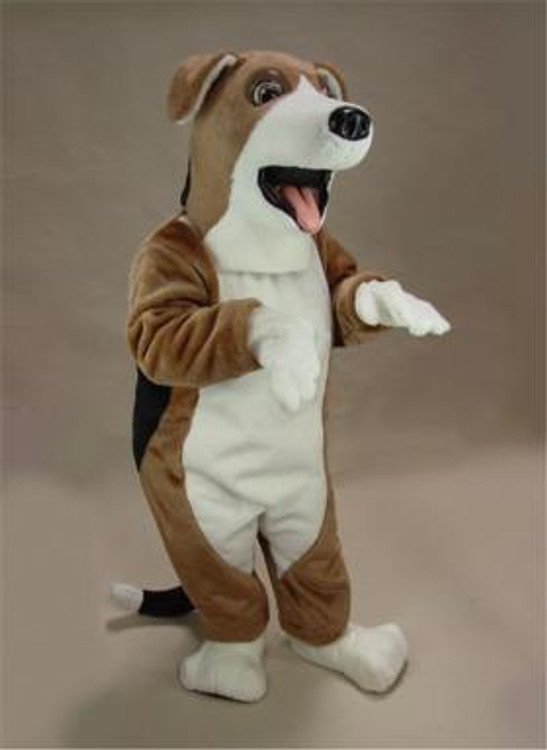 A relevant stock photo of mascot costume in a typical setting.