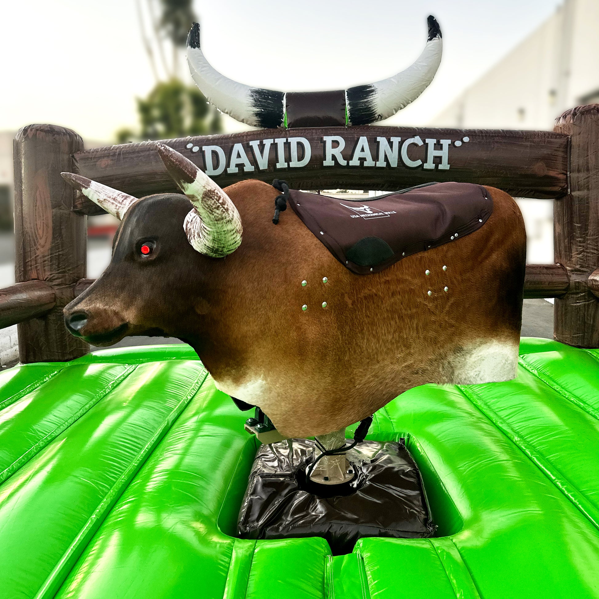 A relevant stock photo of mechanical bull for sale in a typical setting.