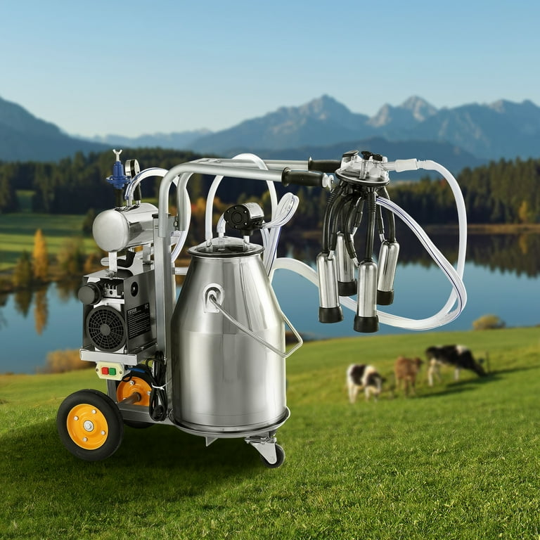 A relevant stock photo of milking machine in a typical setting.