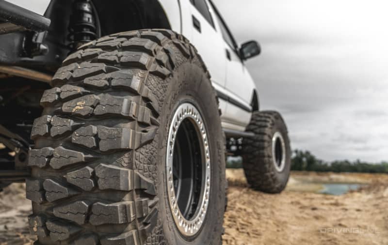 A relevant stock photo of mud grapps in a typical setting.