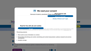 Mumsnet - Plug Plants