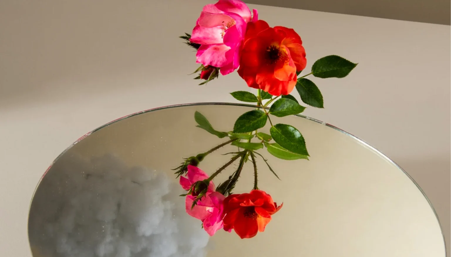 A relevant stock photo of net mirror in a typical setting.