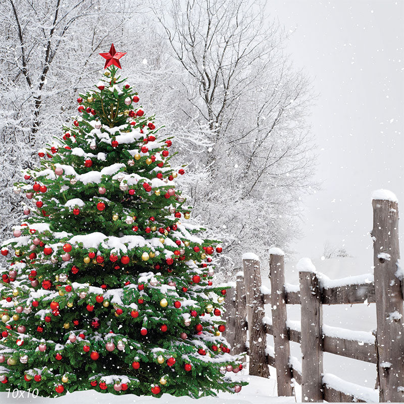 A relevant stock photo of outdoor christmas tree in a typical setting.