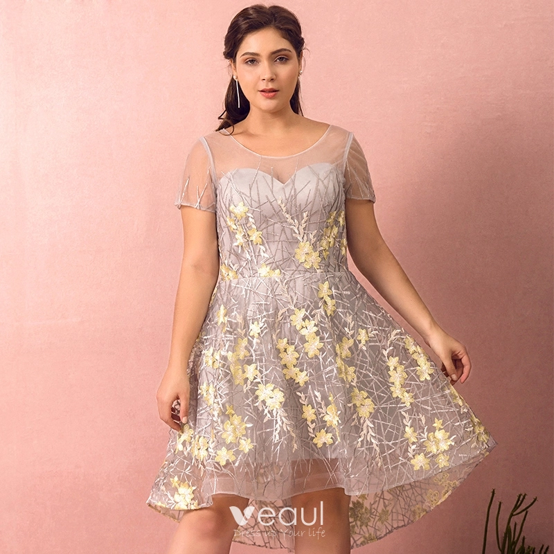 A relevant stock photo of plus size graduation dresses in a typical setting.