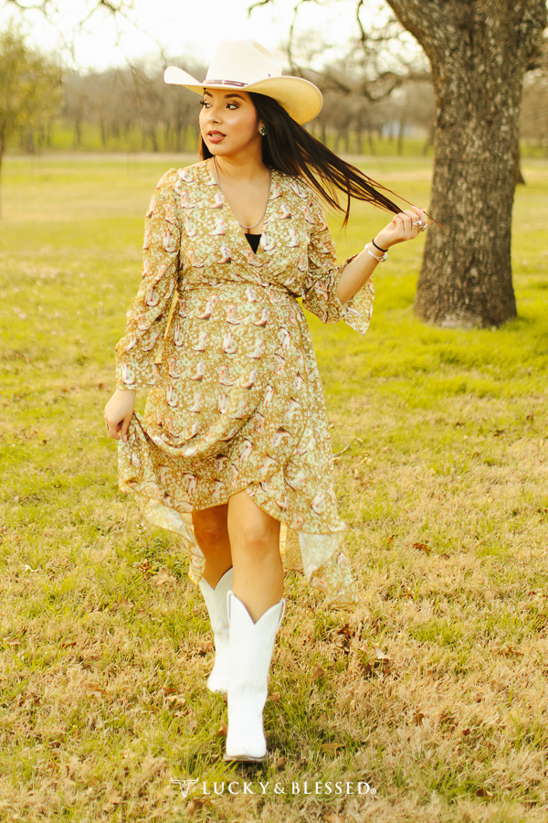 A relevant stock photo of plus size western dresses in a typical setting.