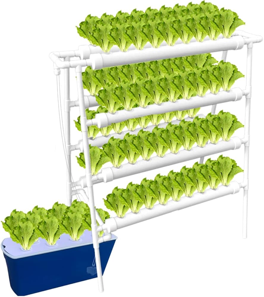 A relevant stock photo of pvc grown plant plugs in a typical setting.