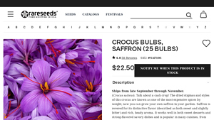 Rare Seeds - Saffron Crocus Bulbs (25 Pack)
