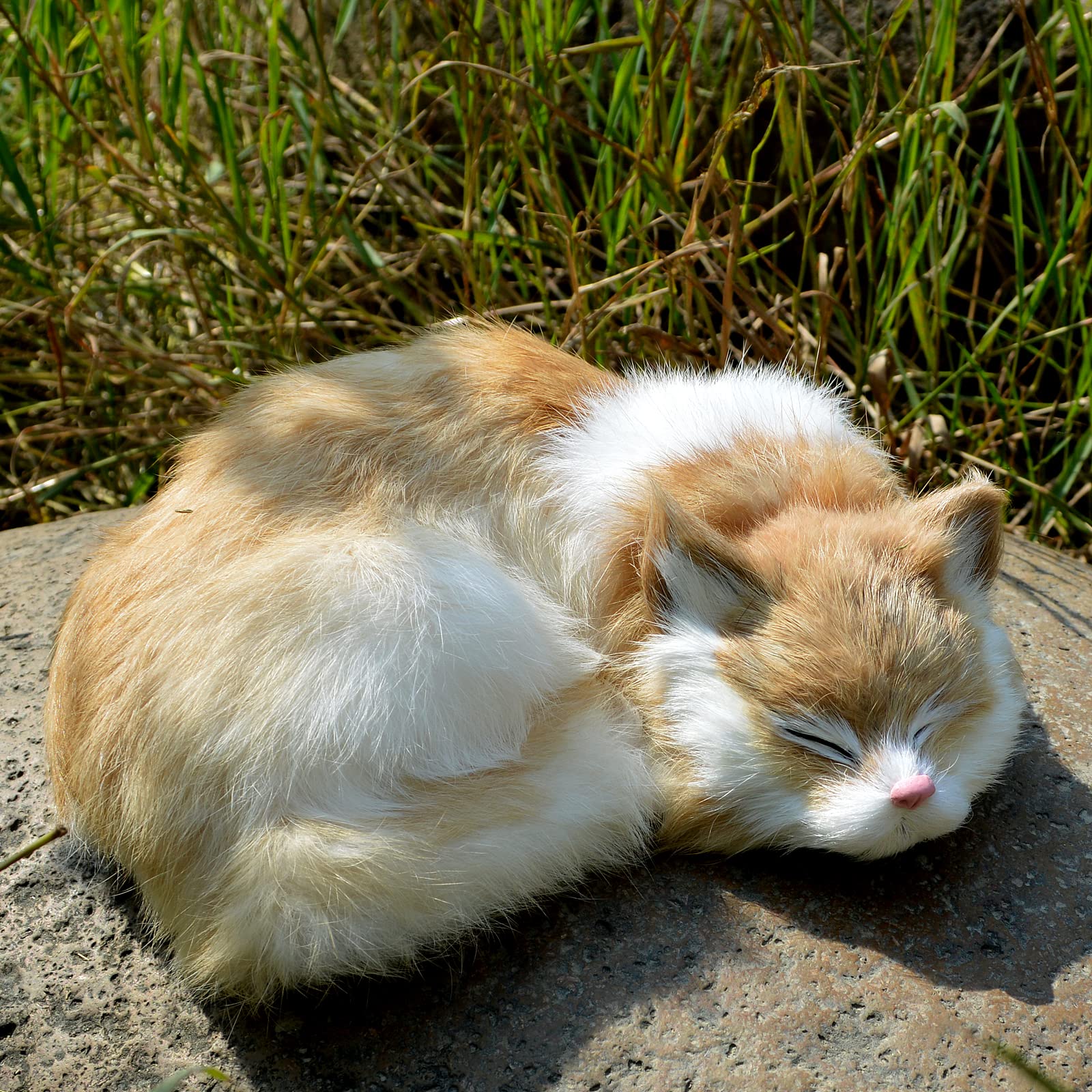 A relevant stock photo of realistic looking cat prop in a typical setting.