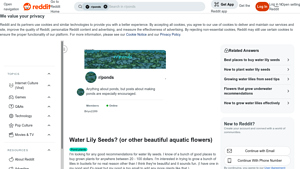 Water Lily Seeds - Quality Recommendations