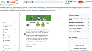 Quail Chicks - Top Sources