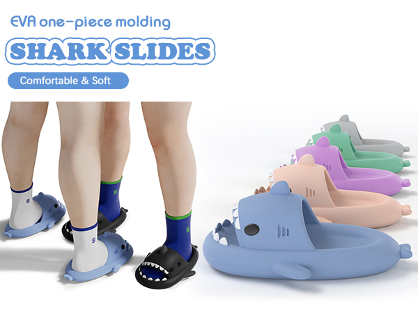 A relevant stock photo of shark slides in a typical setting.