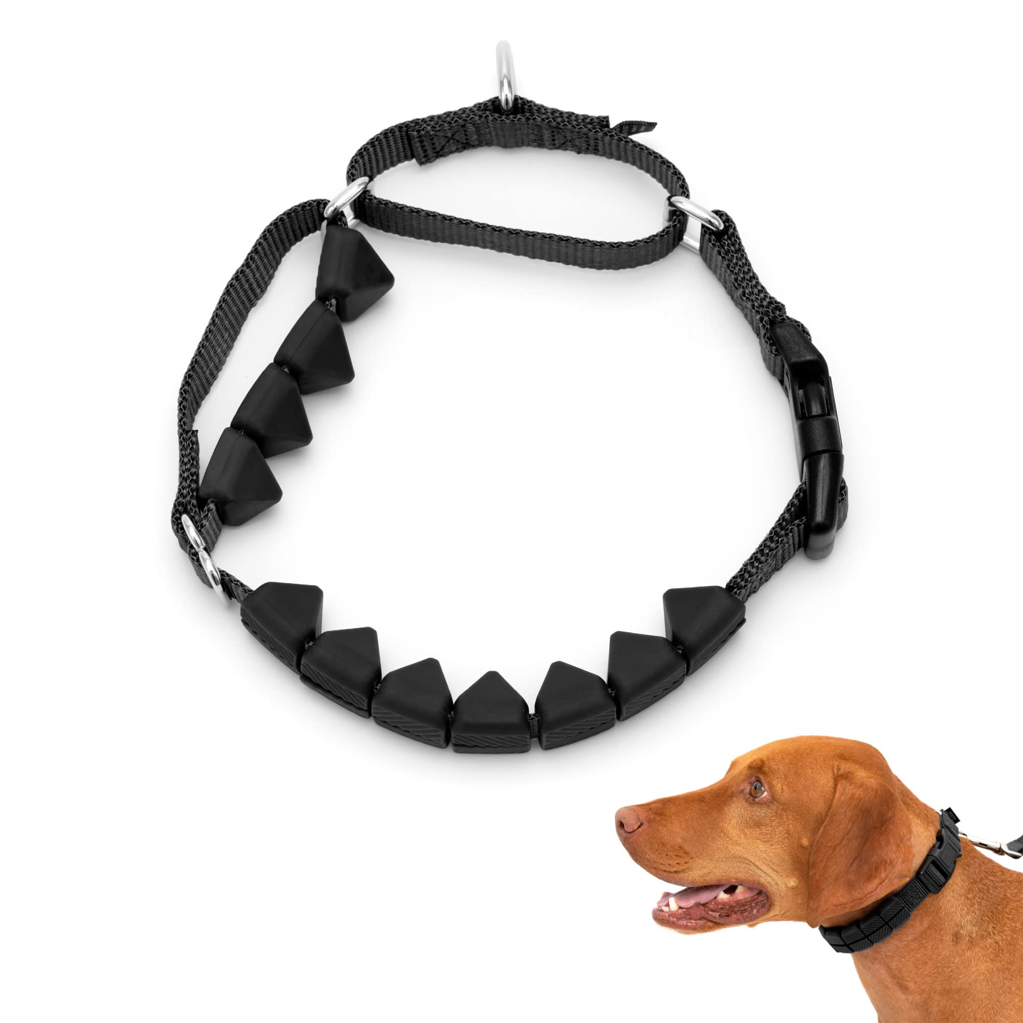 A relevant stock photo of soft prong in a typical setting.