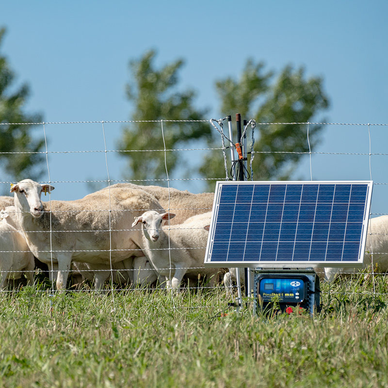 A relevant stock photo of solar electric fence in a typical setting.