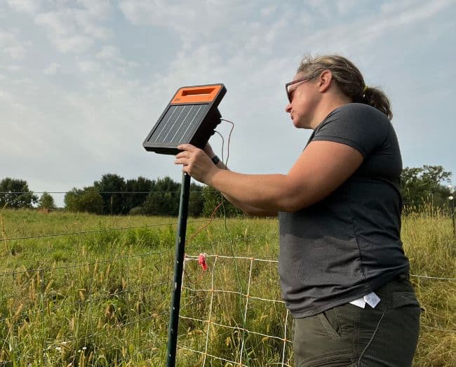 A relevant stock photo of solar electric fence in a typical setting.