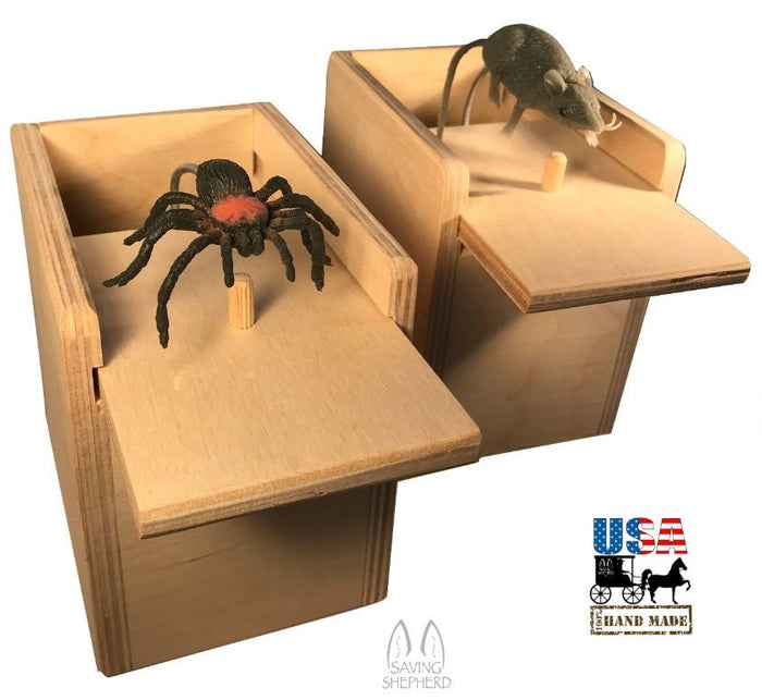 A relevant stock photo of spider gag in a typical setting.