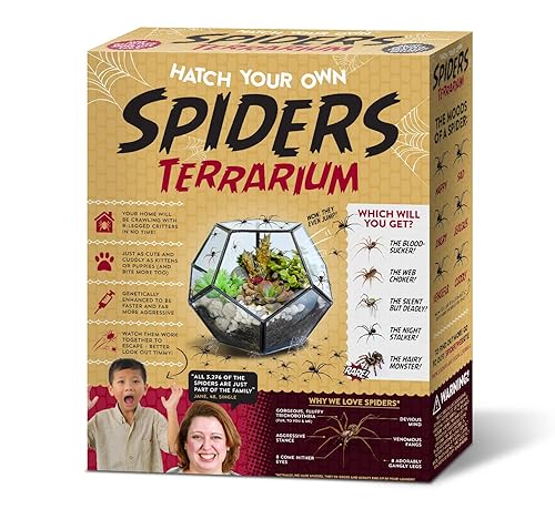 A relevant stock photo of spider gag in a typical setting.
