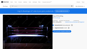 Wrestling - Ring Arena